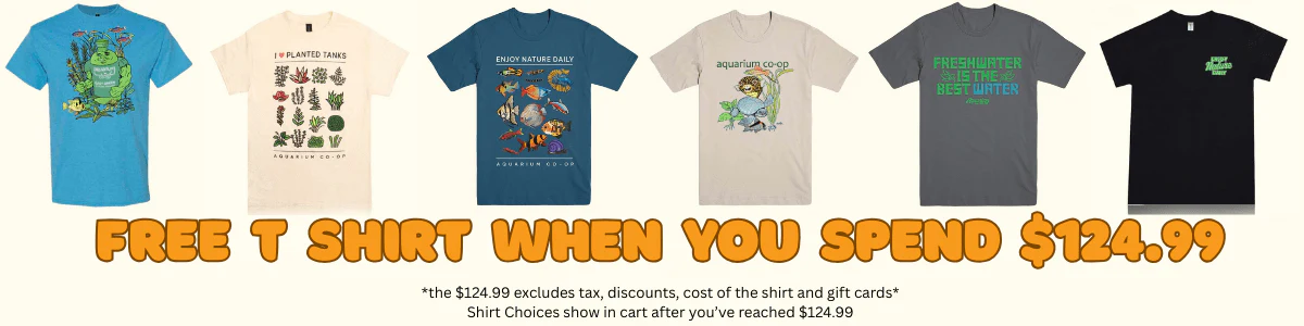 Dive Into Premium Aquatic Style